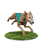 JVID娛樂城白金賽狗 JVID娛樂城白金賽狗